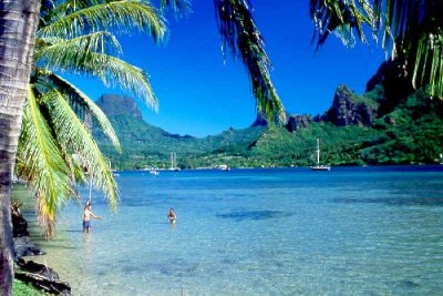 Cook's Bay