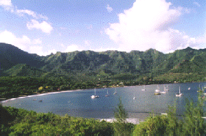 Bay