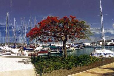 Port Moselle