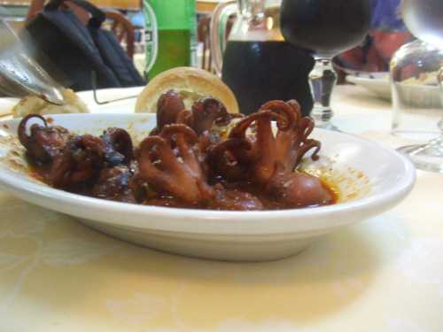 Octopus